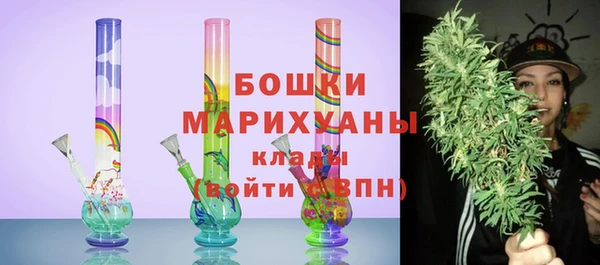 ECSTASY Медногорск