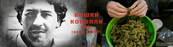 ECSTASY Медногорск