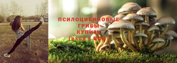 спайс Медвежьегорск