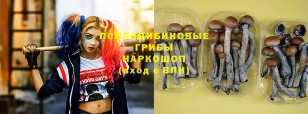 спайс Медвежьегорск